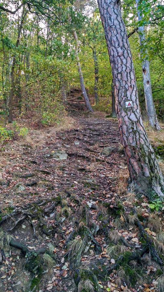 spacak-rallye-krivoklatsko-10