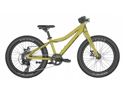 Scott Roxter 20 Green