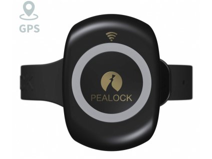 Elektronický zámek Pealock Pealock 2 Black