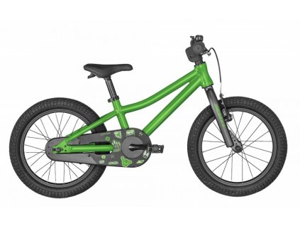 Scott Roxter 16 2022 Green