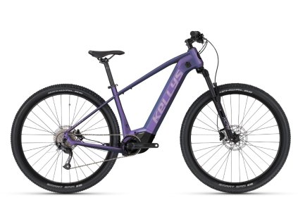 Tayen r10 violet