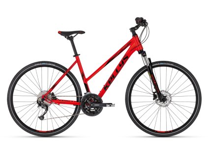 Kellys Pheebe 30 Red