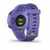 Garmin Forerunner 45S Optic Berry