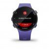 Garmin Forerunner 45S Optic Berry