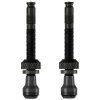 schwalbe tubeless presta 60 mm valves 2 units