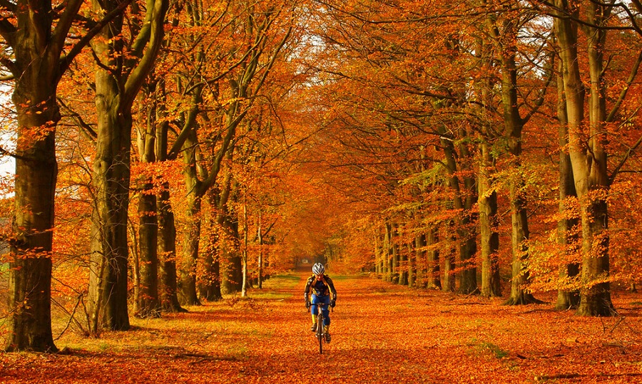 Štyri dobré rady ako sa obliecť v zime na bicykel