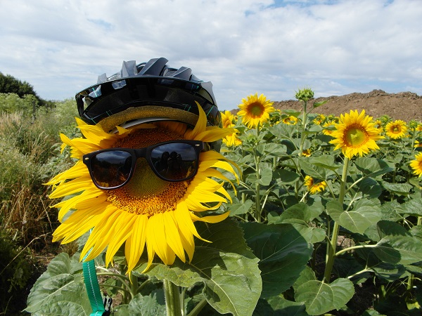 Výlet, na ktorom sa nikto nebude nudiť