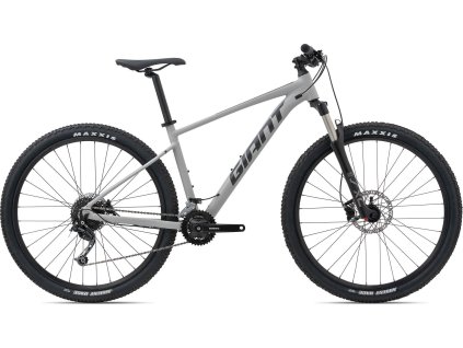 GIANT Talon 29 2 (GE) Concrete 2021