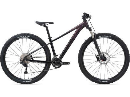 LIV Tempt 1 (GE) Rosewood 2021
