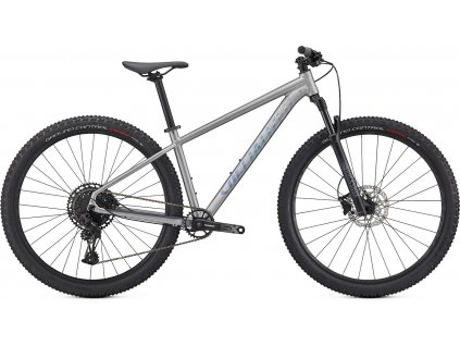 SPECIALIZED Rockhopper Expert 29 Silver Dust/Black Holographic 2021