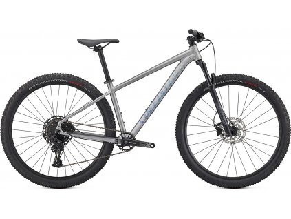 SPECIALIZED Rockhopper Expert 29 Silver Dust/Black Holographic