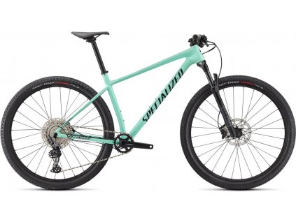 SPECIALIZED Chisel Gloss Oasis/Forest Green 2021