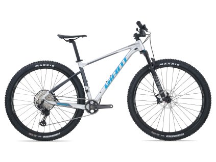 GIANT FATHOM 29 (GE) SILVER 2020 (Veľkosť: XL)