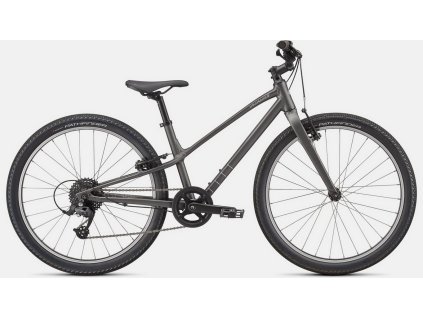 SPECIALIZED Jett 24 Satin Smoke/Flake Silver 2022