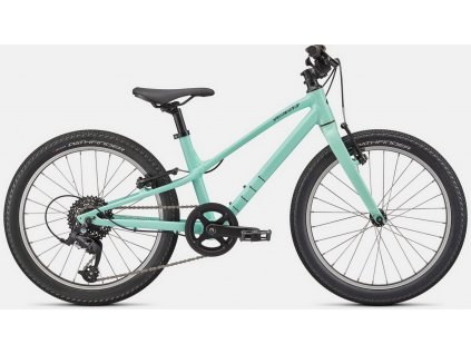 SPECIALIZED Jett 20 Gloss Oasis/Forest Green