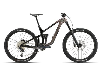 GIANT Reign Advanced Pro 2 Orion Nebula/Carbon