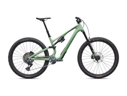 SPECIALIZED Stumpjumper 15 EVO Expert AXS Gloss Pistachio/Dark Moss Green (Veľkosť rámu S2)
