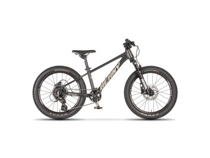 BEANY Blaster 20 black (Priemer kolies 20")