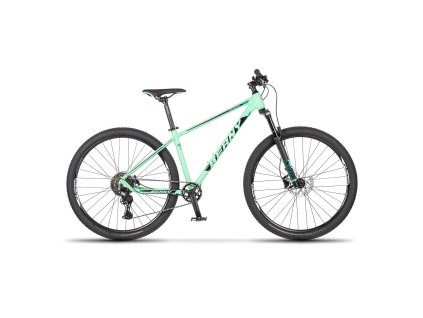 BEANY Blaster 29 light green (Priemer kolies 29")