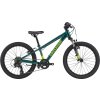 CANNONDALE TRAIL 20 BOYS UNI ZELENÁ 2020