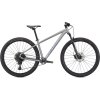 SPECIALIZED Rockhopper Expert 29 Silver Dust/Black Holographic  Rekreačný horský bicykel