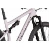 SPECIALIZED Epic EVO Comp Gloss Clay/Cast Umber