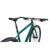 SPECIALIZED Diverge Expert E5 Evo Satin Pine/Forest/Chrome/ Clean  Gravel bicykel