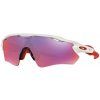 OAKLEY Radar® EV Path Polished White/Prizm Road (Farba Biela)
