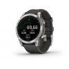 GARMIN Fenix 7 Silver Graphite Band