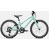 SPECIALIZED Jett 20 Gloss Oasis/Forest Green (Priemer kolies 20")