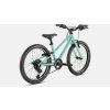 SPECIALIZED Jett 20 Gloss Oasis/Forest Green (Priemer kolies 20")