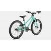 SPECIALIZED Jett 20 Single Speed Gloss Oasis/Forest Green (Priemer kolies 20")