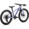 SPECIALIZED Riprock 20 Gloss Purple Indigo/Slate (Priemer kolies 20")