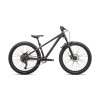 SPECIALIZED P.2 Trail Gloss Obsidian Diffused/Slate Grey/Birch (Priemer kolies 24")