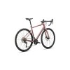 SPECIALIZED Diverge E5 Elite Gloss Dusky Pink/Cypress Green Metallic  Gravel bicykel