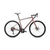 SPECIALIZED Diverge E5 Elite Gloss Dusky Pink/Cypress Green Metallic  Gravel bicykel