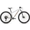 SPECIALIZED Rockhopper Expert Gloss Silver Dust/Satin Burnt Gold Metallic