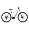 CTM Ruby GX Pro 29 Matná Zlatosivá/Šedá  Horský elektrobicykel