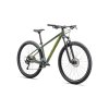 SPECIALIZED Rockhopper Base KH Gloss Sage Green/Olive Green  Rekreačný horský bicykel