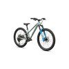 SPECIALIZED Riprock Comp 24 Gloss Agave Grey/Oak Green Metallic (Priemer kolies 24")