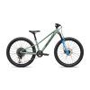 SPECIALIZED Riprock Comp 24 Gloss Agave Grey/Oak Green Metallic (Priemer kolies 24")