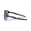 0OO9496 949605 P21 shad lt