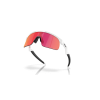 0OJ9010 901004 P21 shad al1