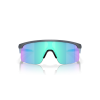 0OJ9010 901016 P21 shad fr