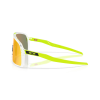 0OO9406 9406D2 P21 shad lt