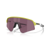 0OO9465 946537 P21 shad qt