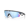 68278 0oo9499 949911 p21 shad qt