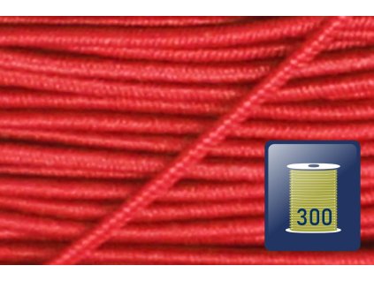 522.081.008 3119 s300 01%20(2)