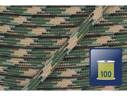 422.322.004 X101 S100 01