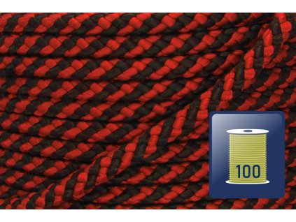 420.165.299 302S s100 01